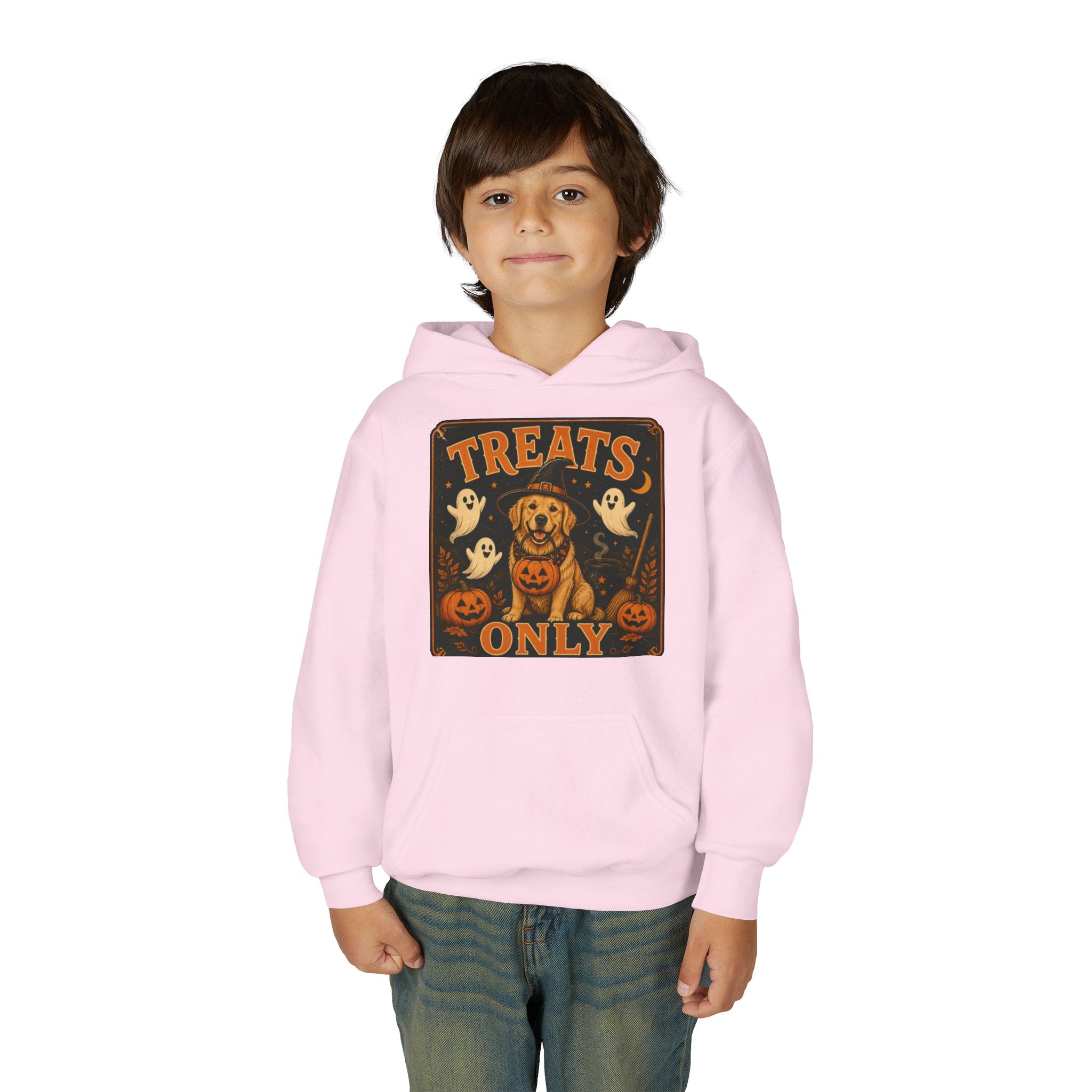 Youth Halloween Hoodie - "Treats Only" Pumpkin Dog Graphic