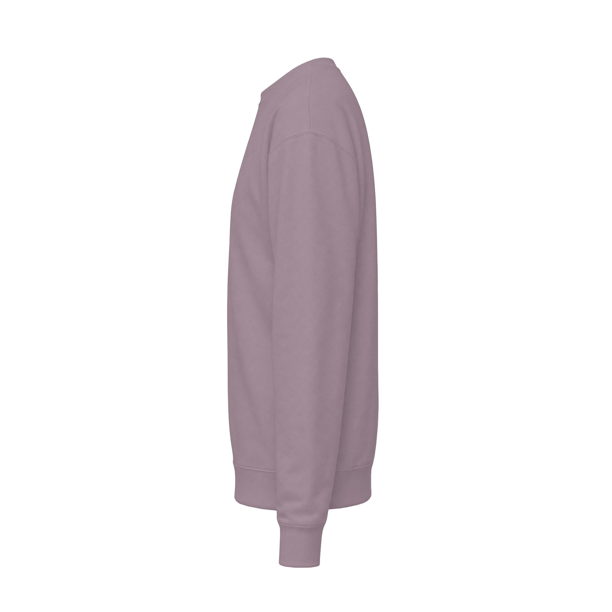 Astronaut & Dog Moon Sweatshirt