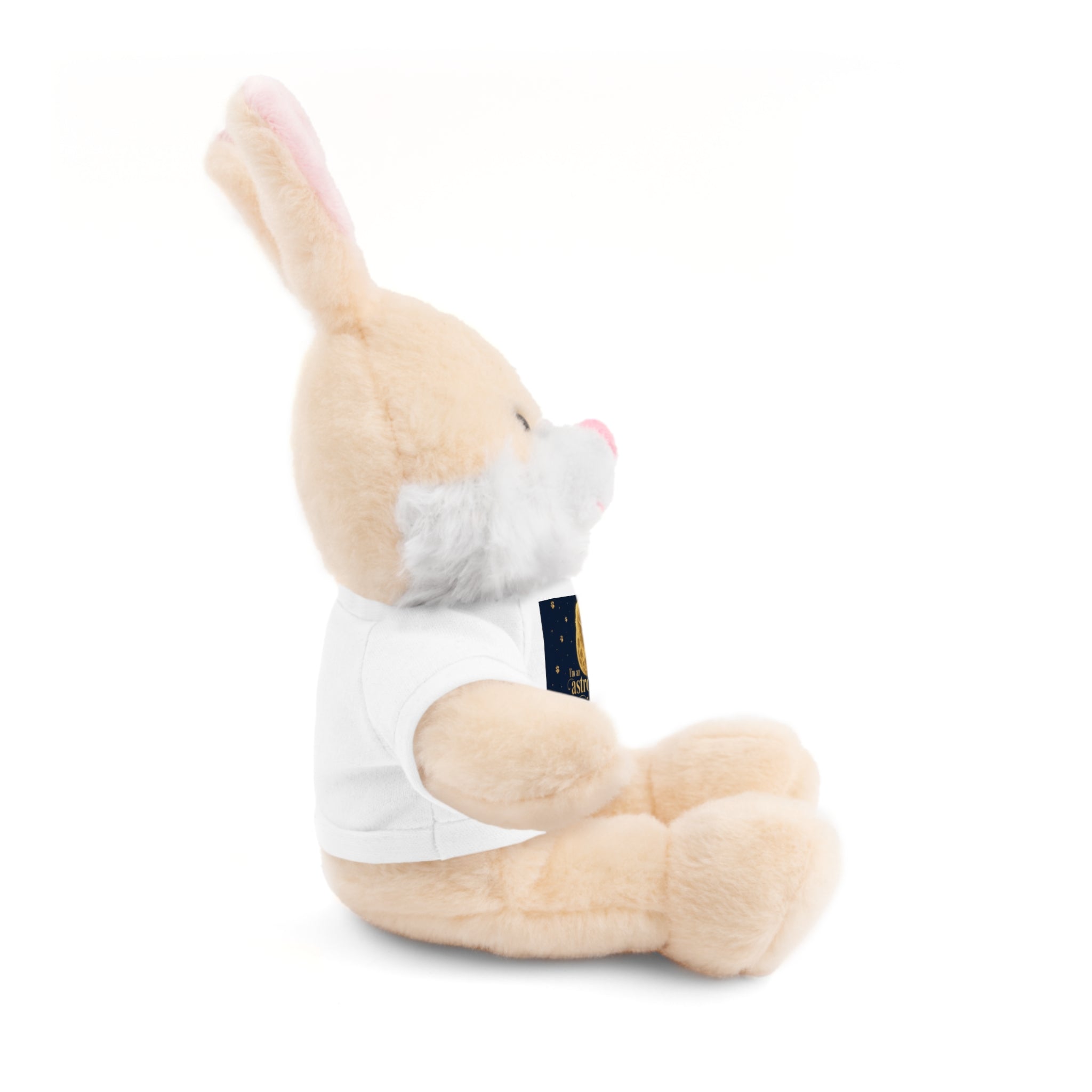 Teddy Bear — 'Instrumental Moon' Plush with Graphic Tee