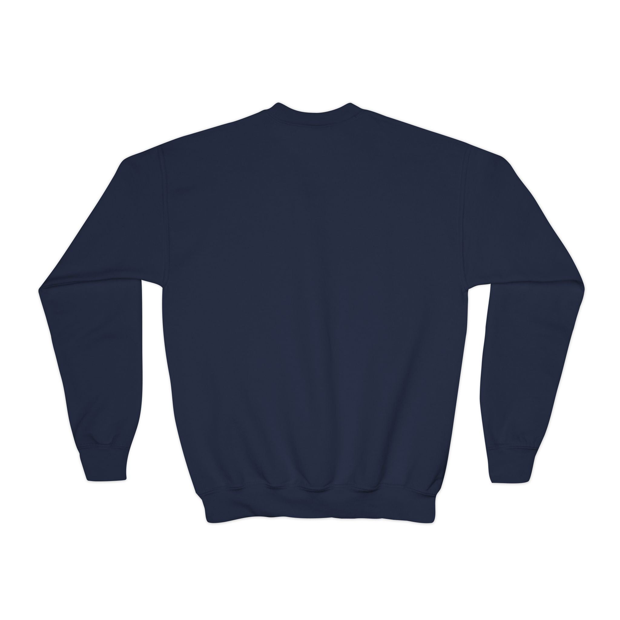 Youth Crewneck Sweatshirt - "Astronauts in the Moon" Cute Golden Bear & Moon Kids Pullover