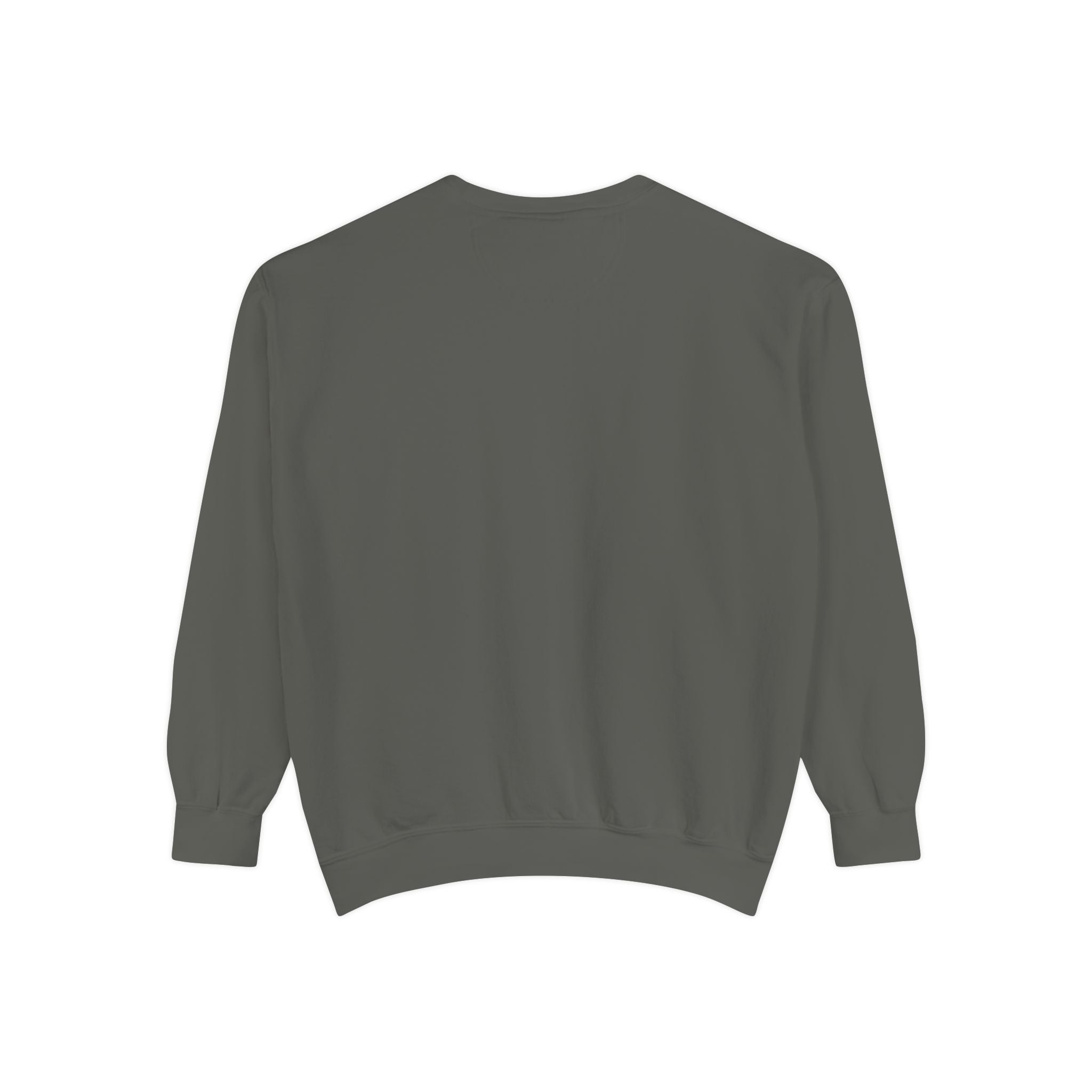 Bear Mascot Sweatshirt — "It's Time for the Predator" Team Pullover