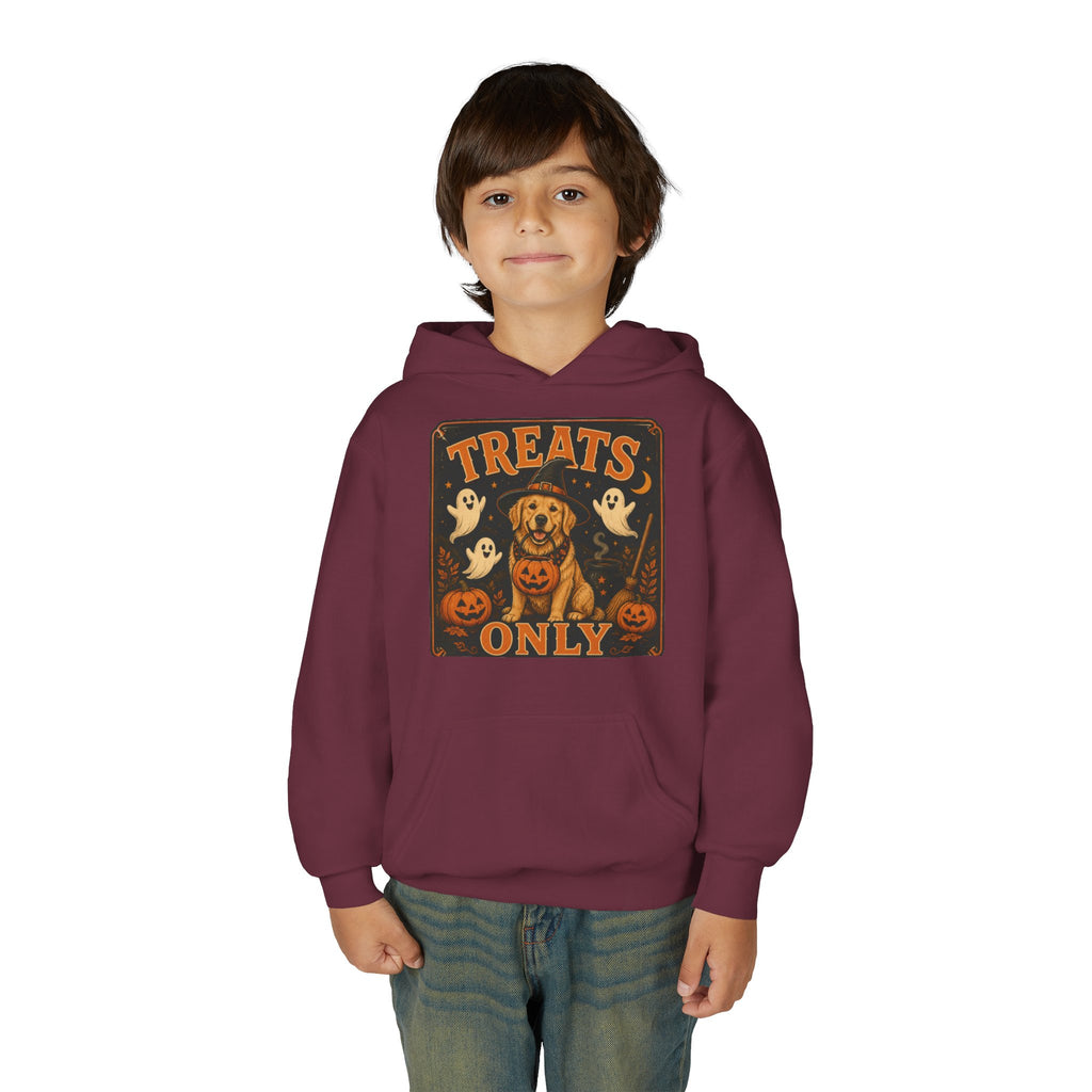 Youth Halloween Hoodie - "Treats Only" Pumpkin Dog Graphic