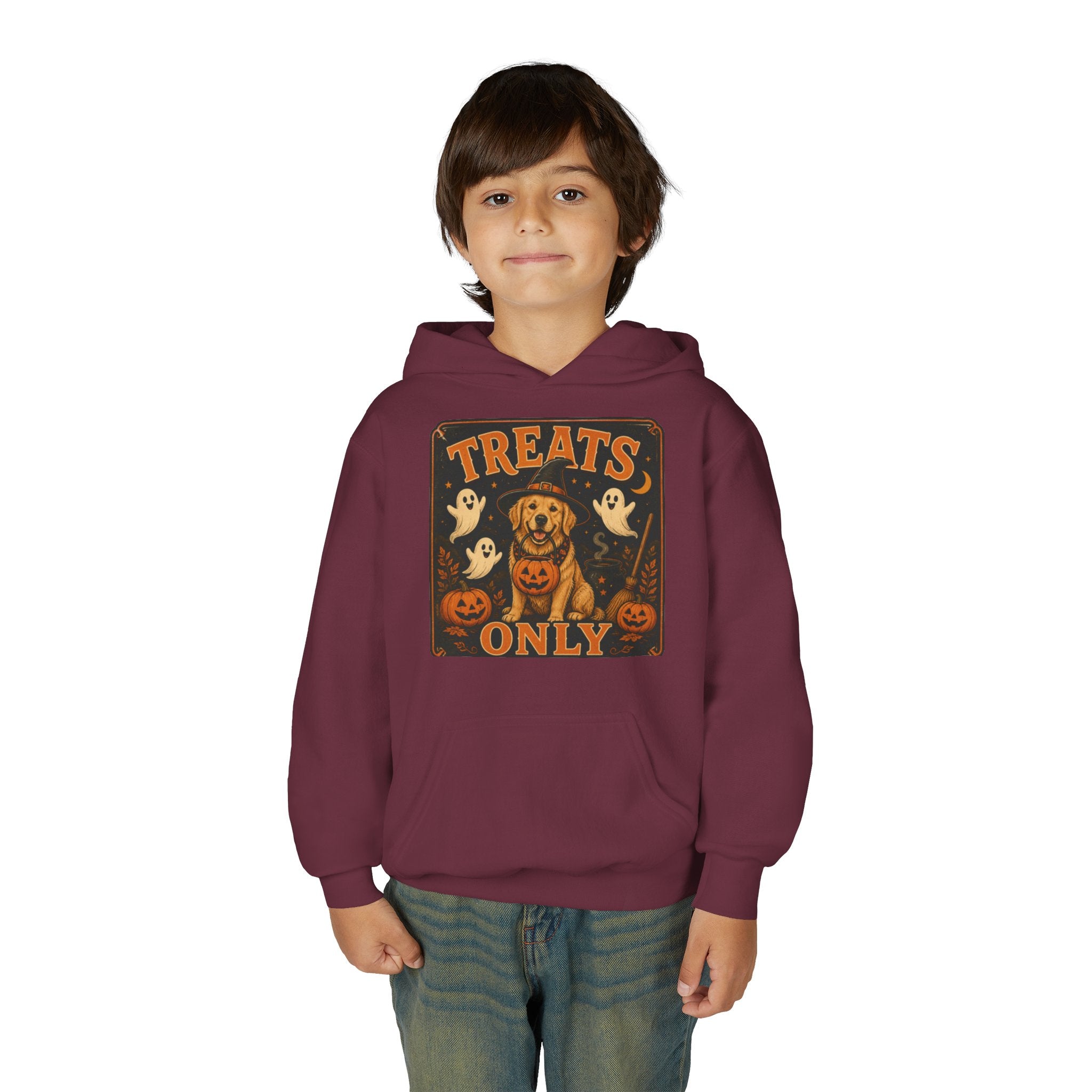 Youth Halloween Hoodie - "Treats Only" Pumpkin Dog Graphic