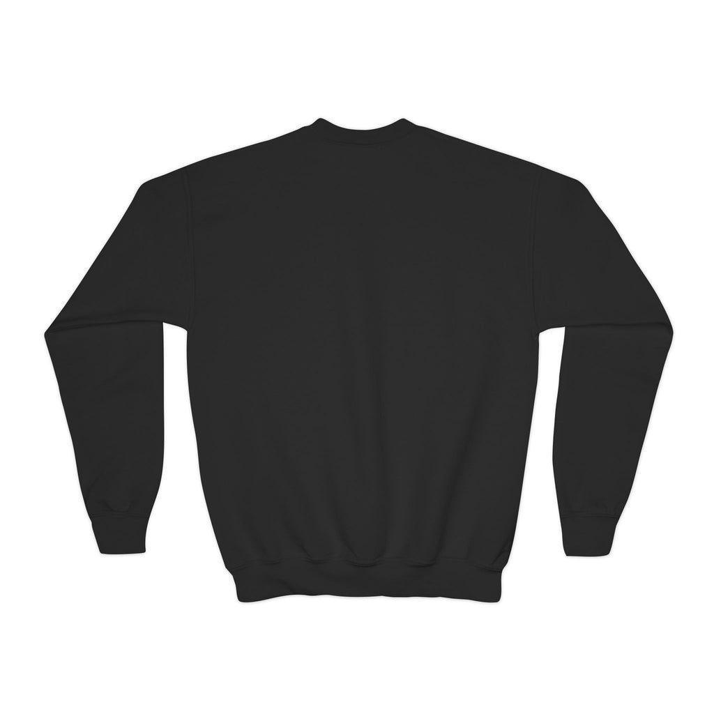 Youth Crewneck Sweatshirt - "Astronauts in the Moon" Cute Golden Bear & Moon Kids Pullover