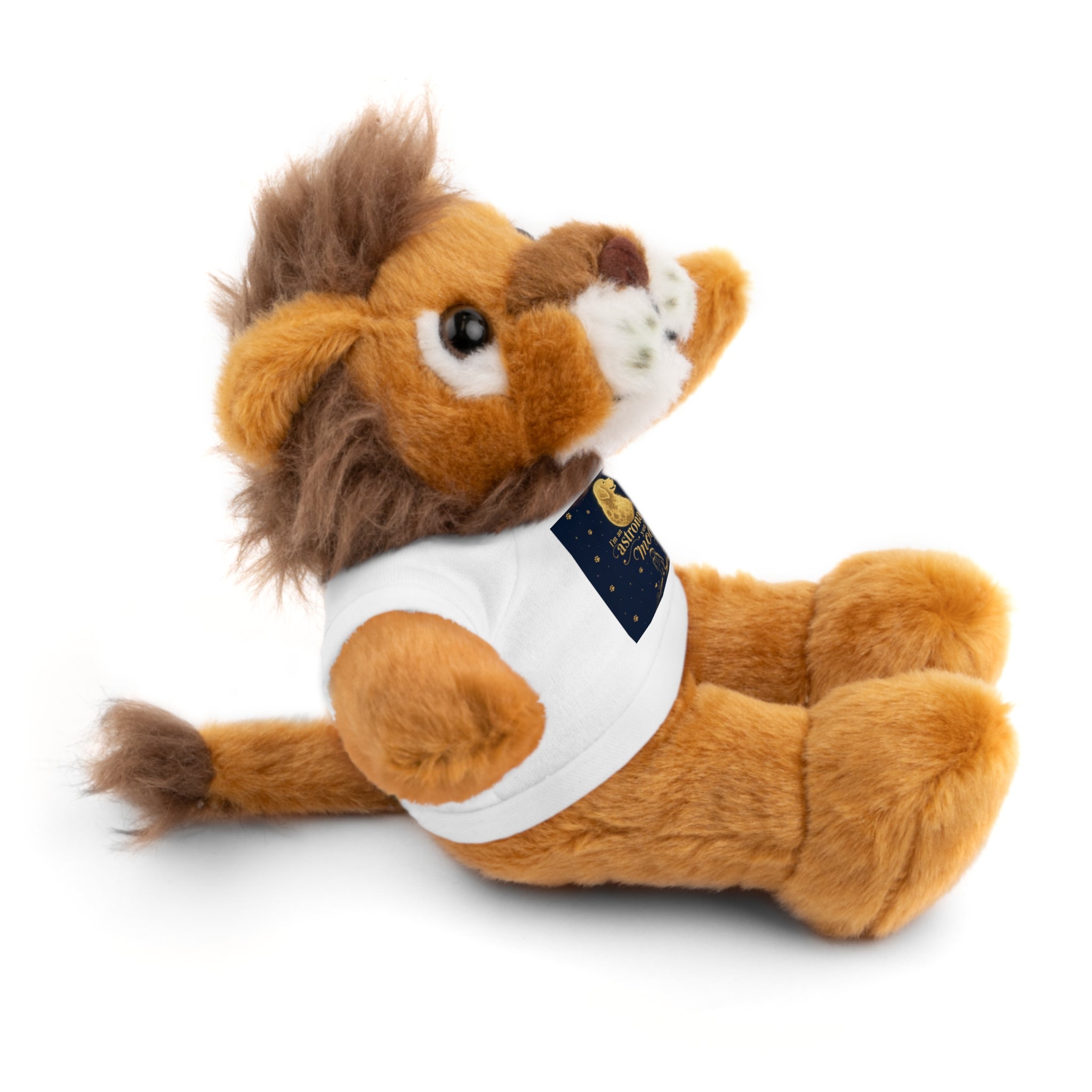 Teddy Bear — 'Instrumental Moon' Plush with Graphic Tee