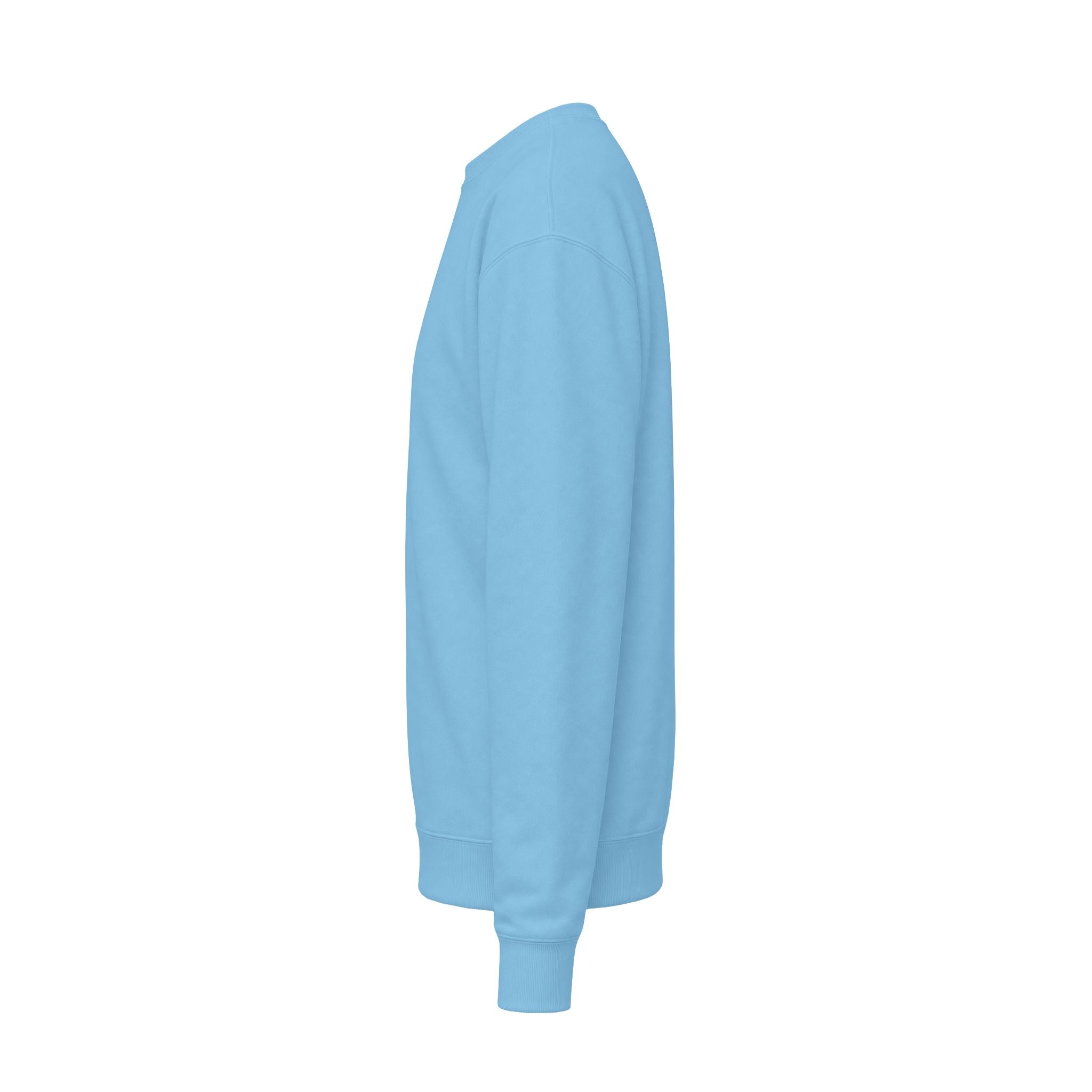 Astronaut & Dog Moon Sweatshirt