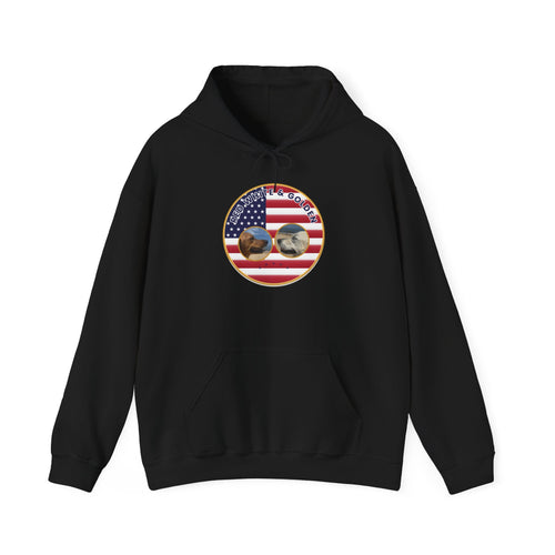American Flag Sunglasses Hoodie — Patriotic USA Eagle Graphic Sweatshirt