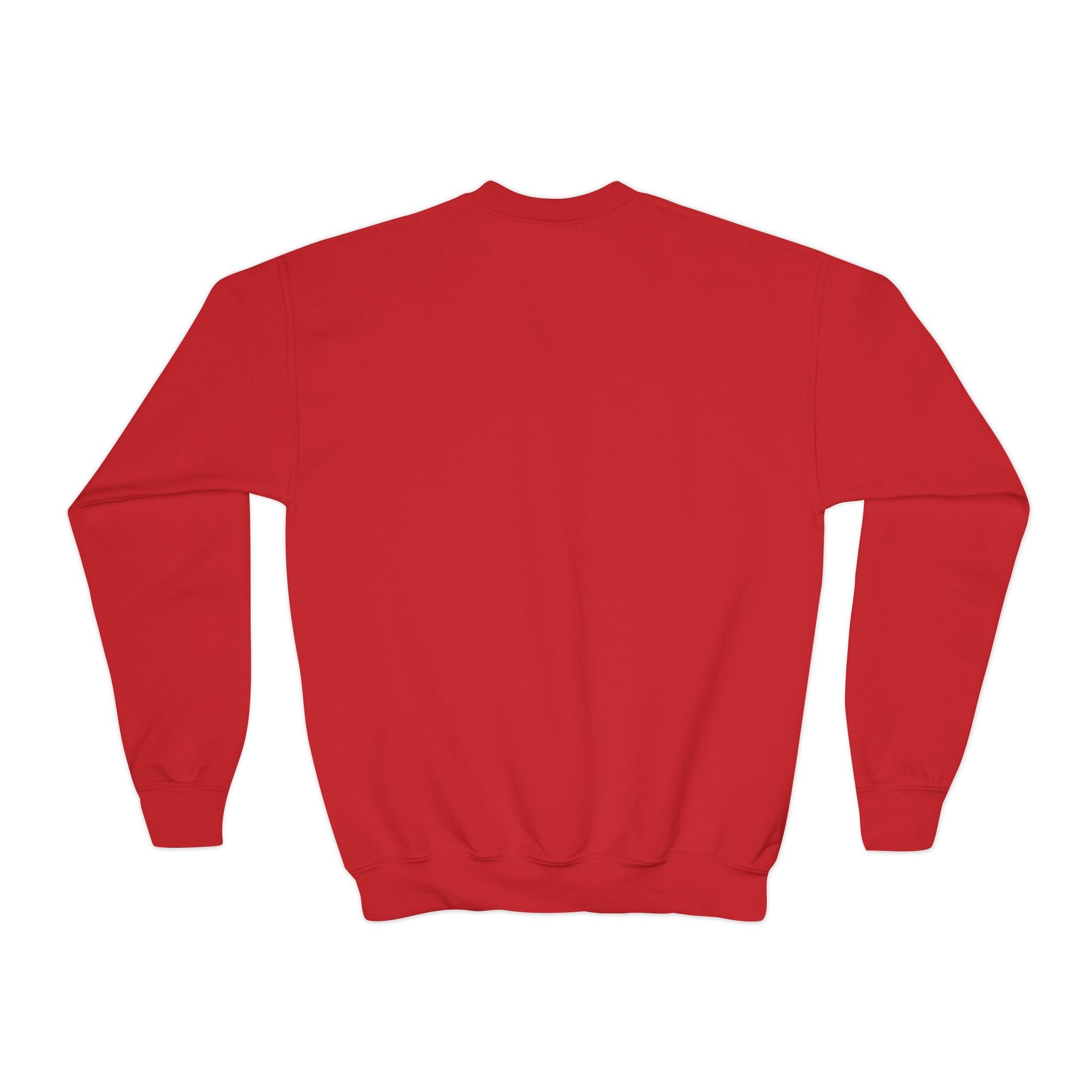 Youth Crewneck Sweatshirt - "Astronauts in the Moon" Cute Golden Bear & Moon Kids Pullover