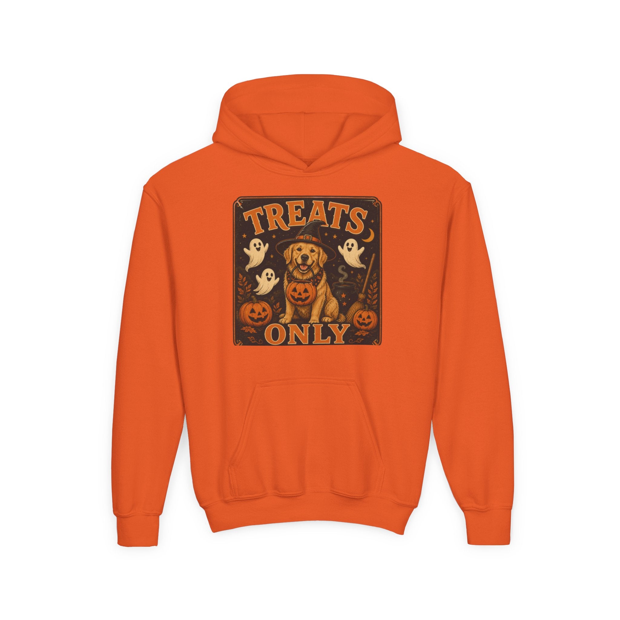 Youth Halloween Hoodie - "Treats Only" Pumpkin Dog Graphic