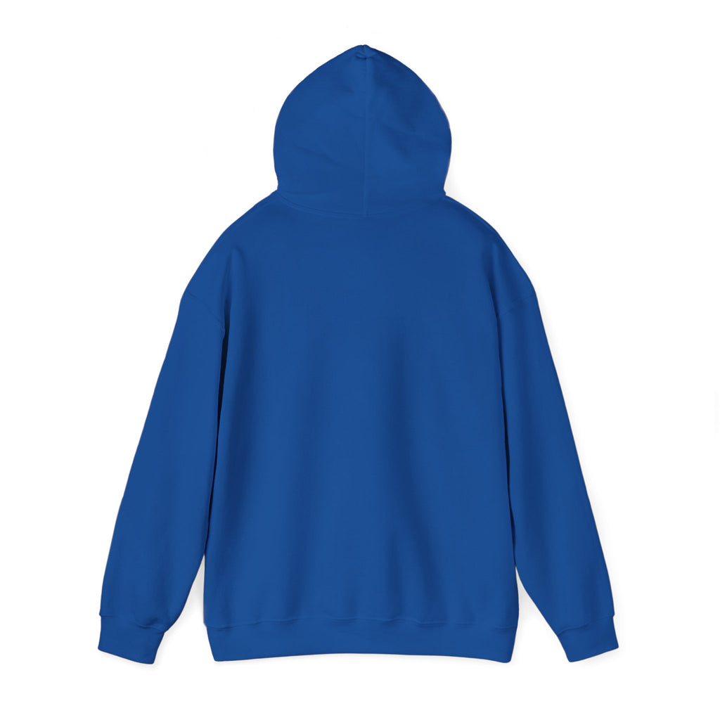 American Flag Sunglasses Hoodie — Patriotic USA Eagle Graphic Sweatshirt