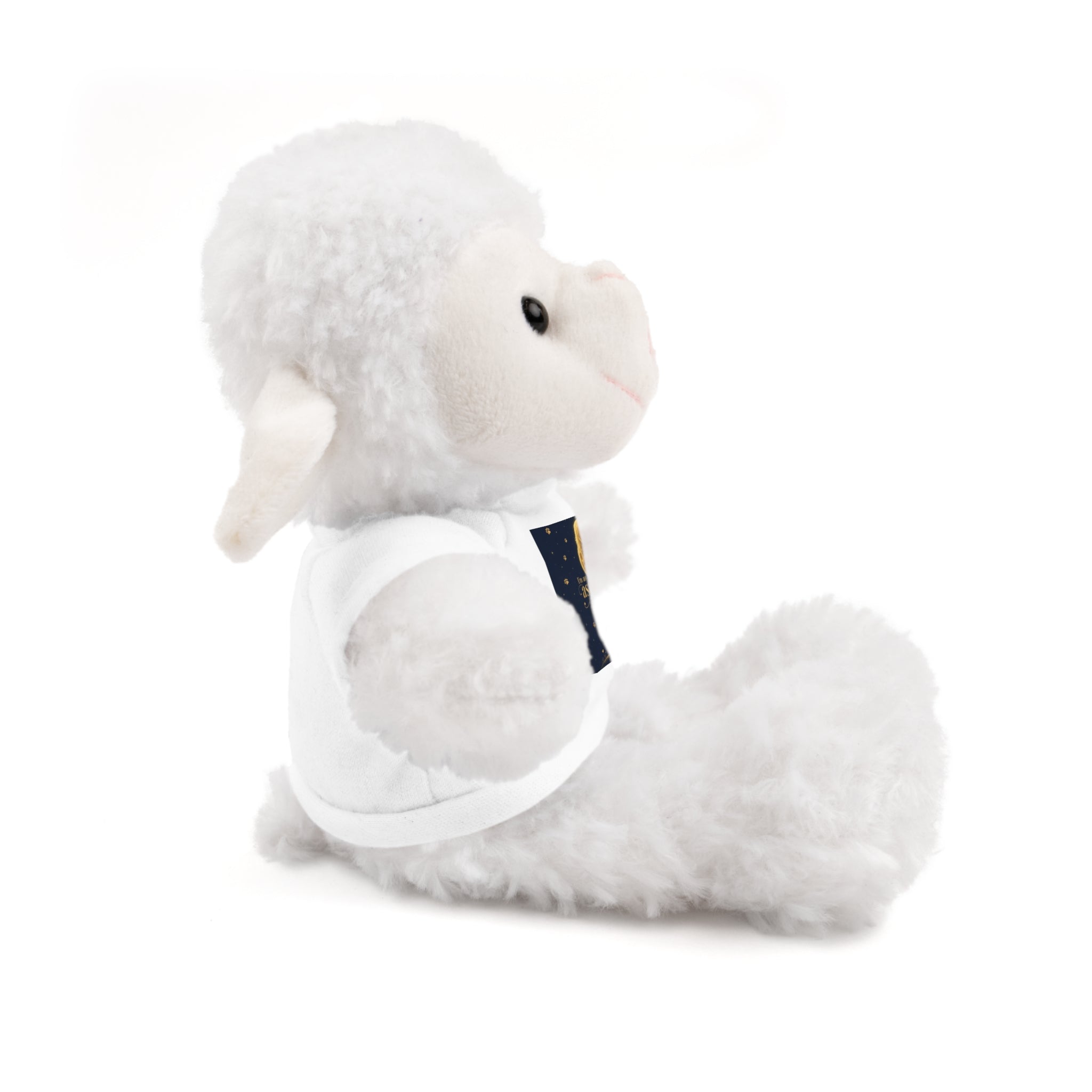 Teddy Bear — 'Instrumental Moon' Plush with Graphic Tee