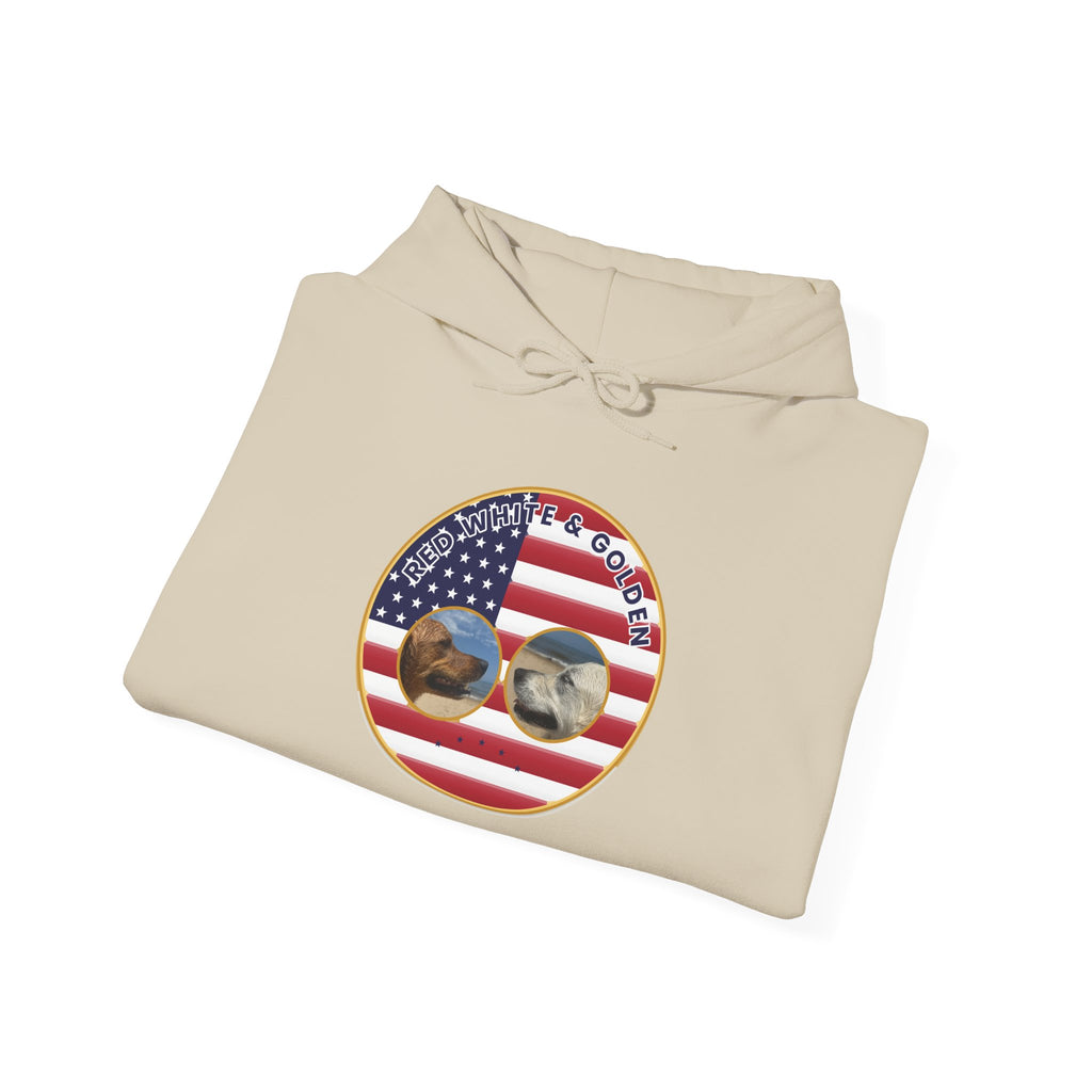 American Flag Sunglasses Hoodie — Patriotic USA Eagle Graphic Sweatshirt