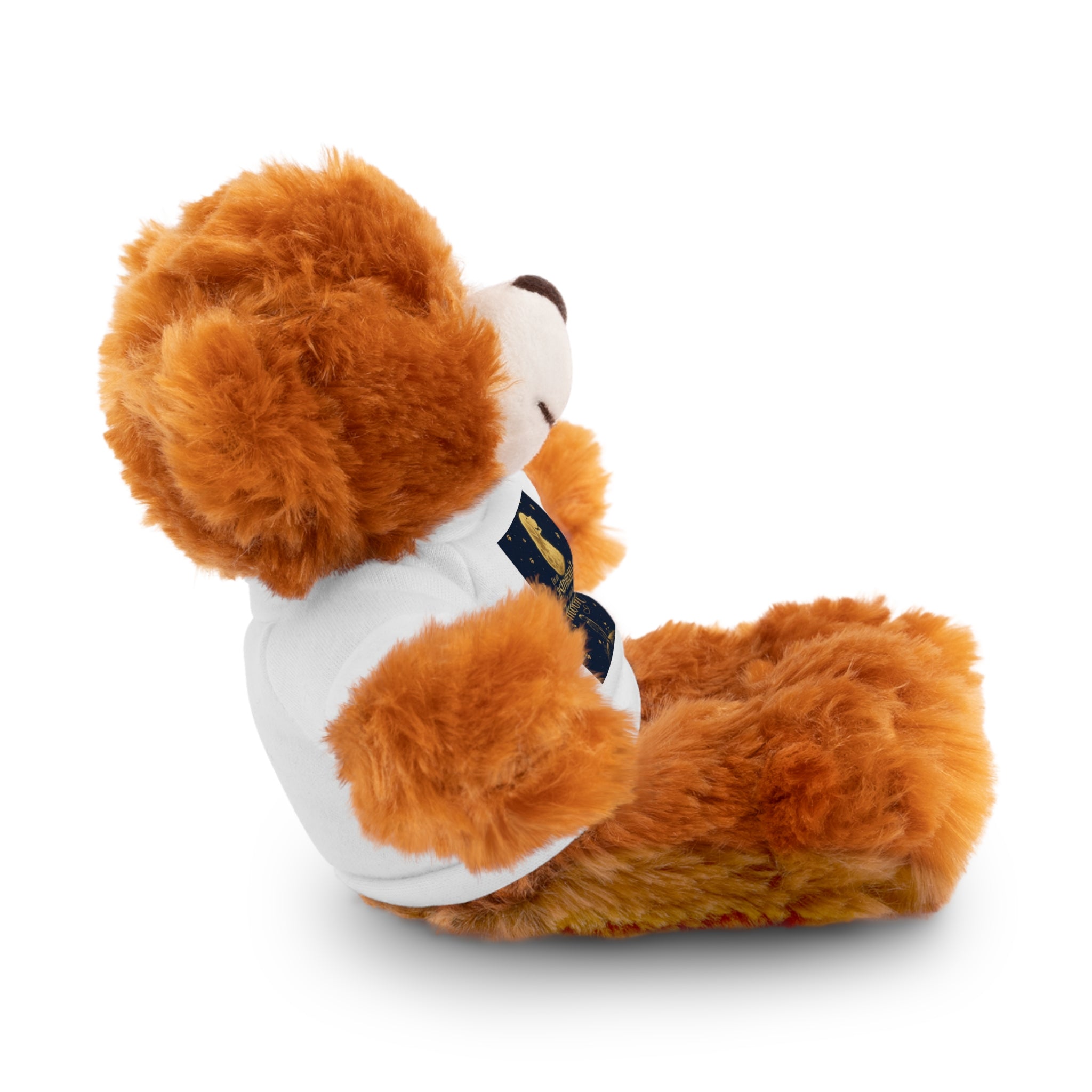 Teddy Bear — 'Instrumental Moon' Plush with Graphic Tee