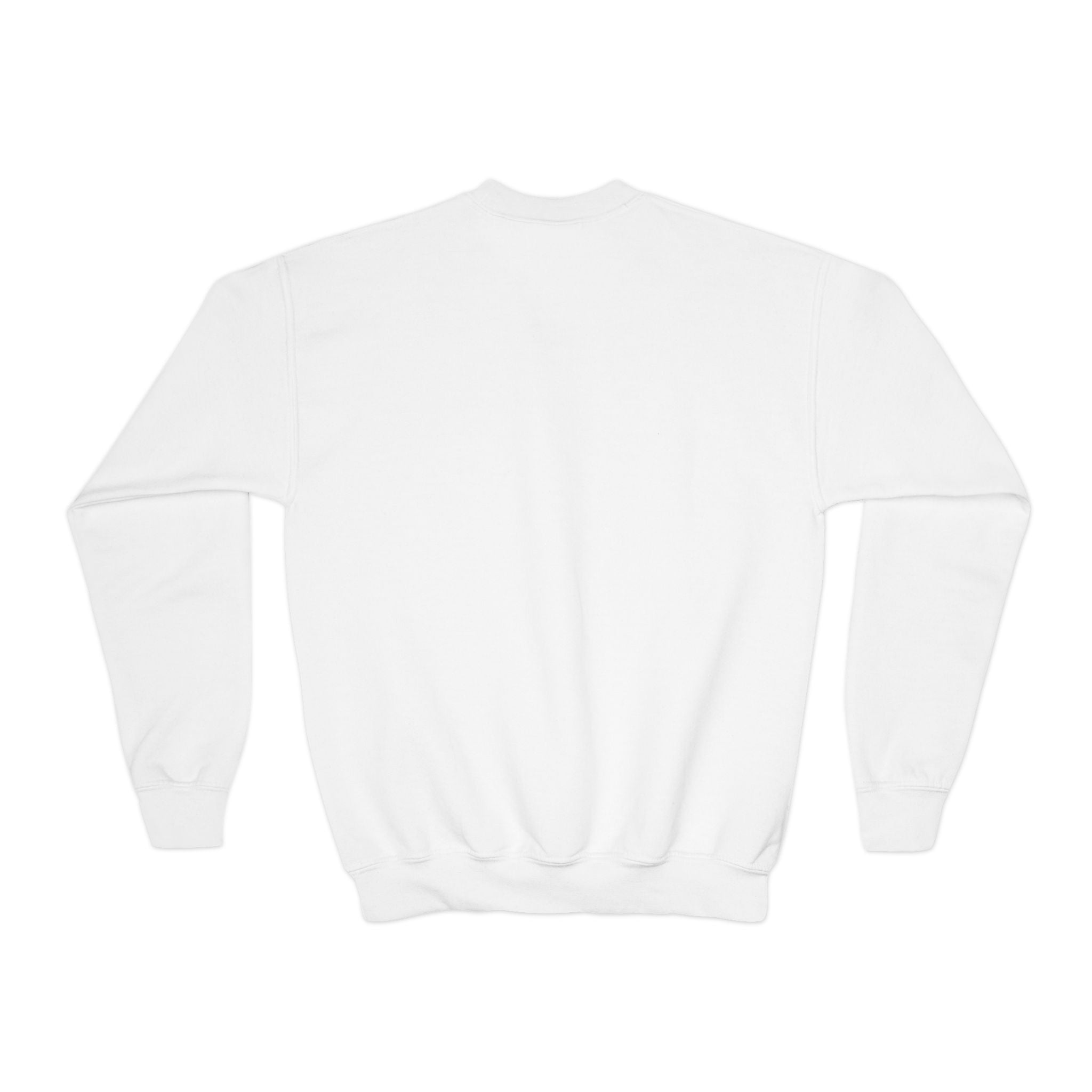 Youth Crewneck Sweatshirt - "Astronauts in the Moon" Cute Golden Bear & Moon Kids Pullover