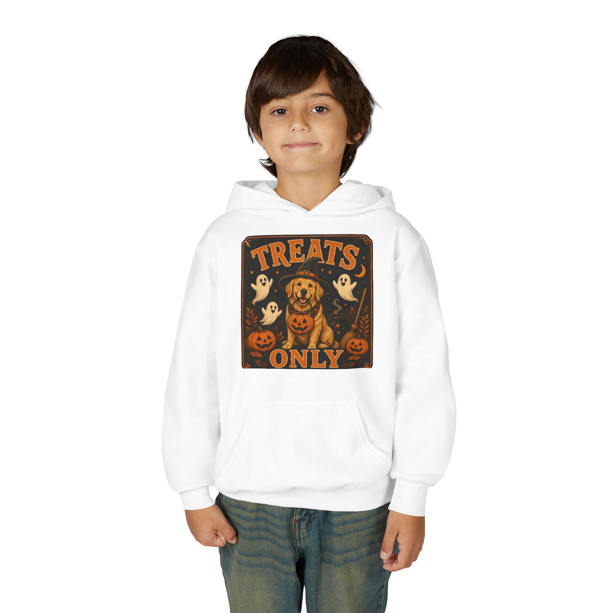 Youth Halloween Hoodie - "Treats Only" Pumpkin Dog Graphic