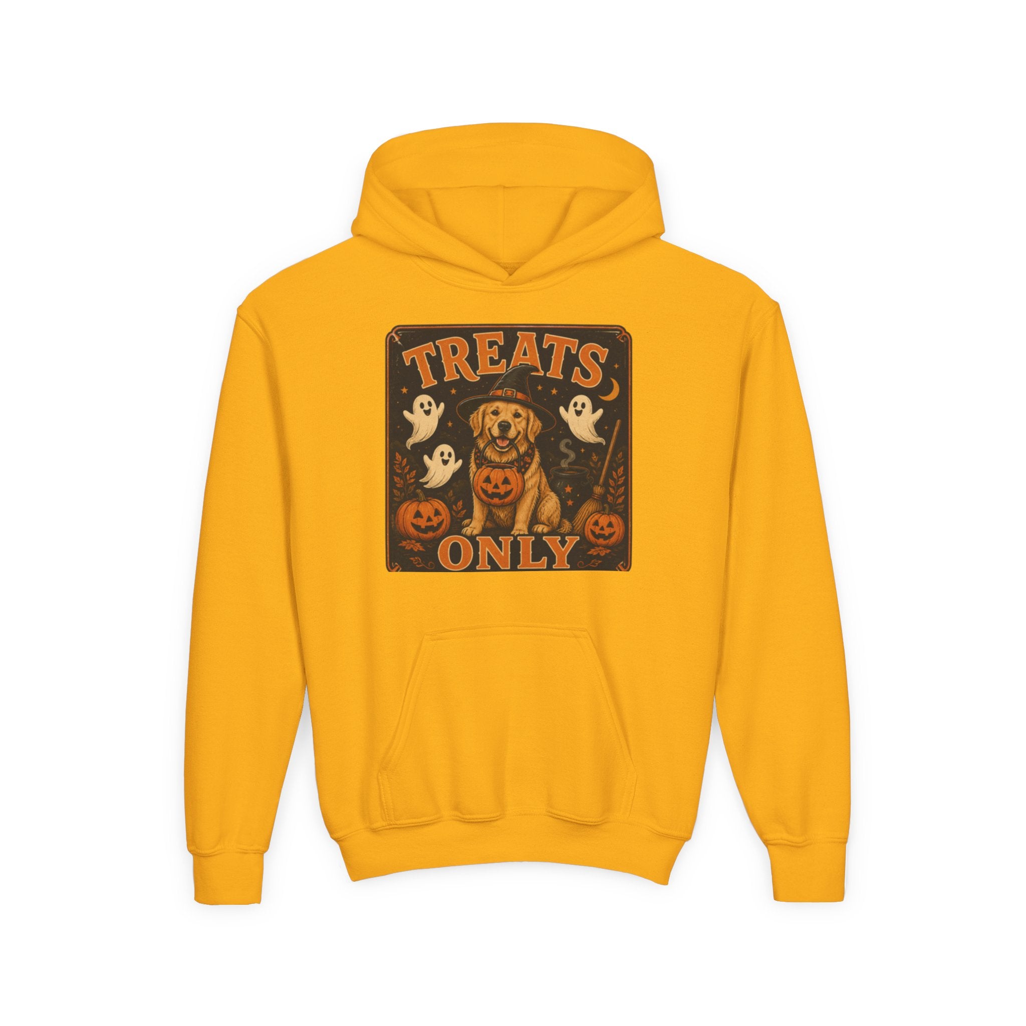 Youth Halloween Hoodie - "Treats Only" Pumpkin Dog Graphic