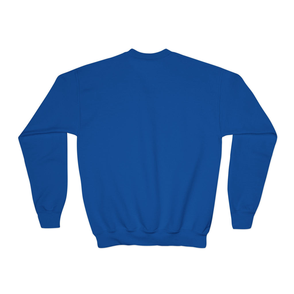 Youth Crewneck Sweatshirt - "Astronauts in the Moon" Cute Golden Bear & Moon Kids Pullover
