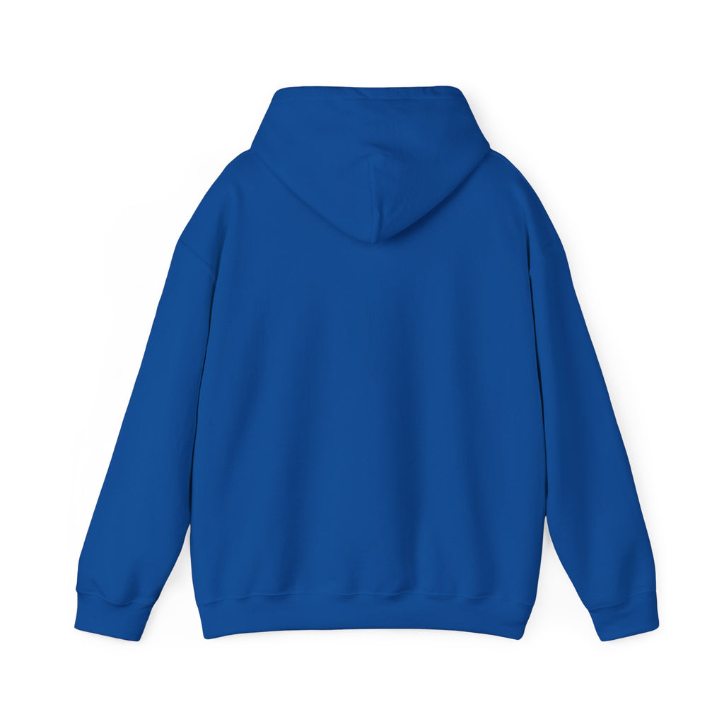 American Flag Sunglasses Hoodie — Patriotic USA Eagle Graphic Sweatshirt