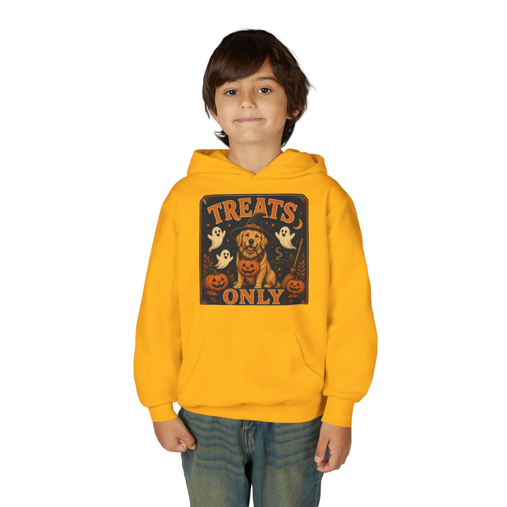Youth Halloween Hoodie - "Treats Only" Pumpkin Dog Graphic