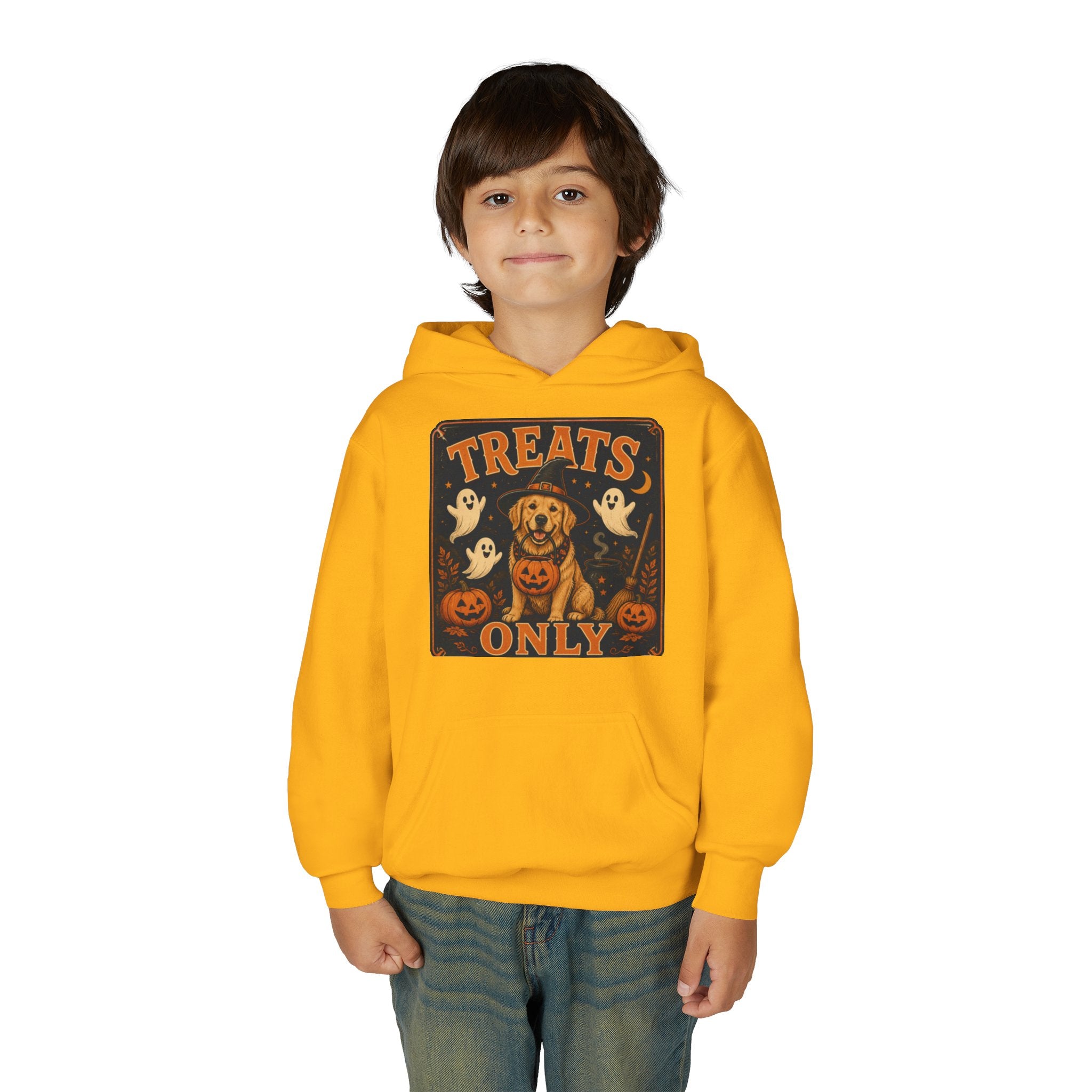 Youth Halloween Hoodie - "Treats Only" Pumpkin Dog Graphic