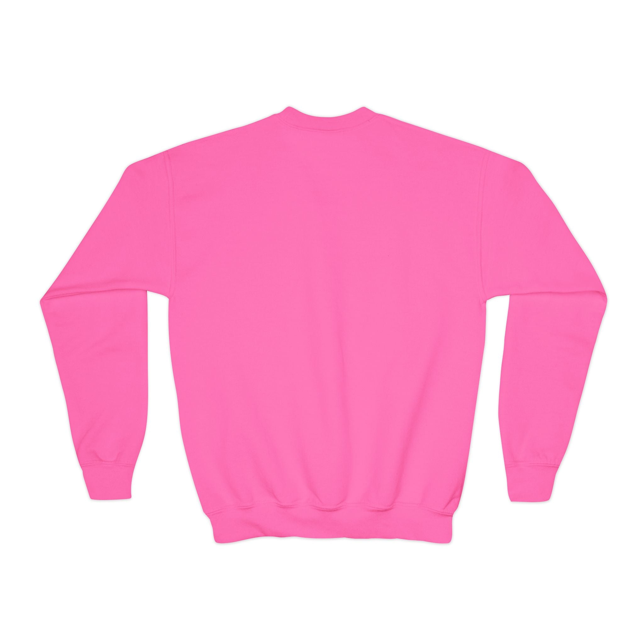 Youth Crewneck Sweatshirt - "Astronauts in the Moon" Cute Golden Bear & Moon Kids Pullover