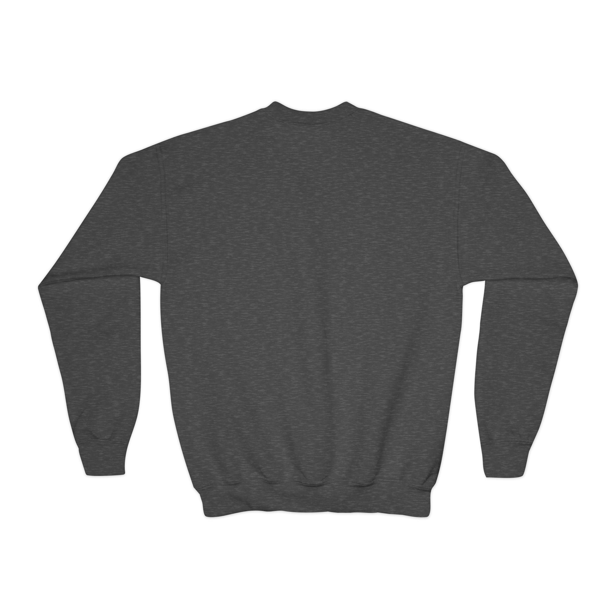 Youth Crewneck Sweatshirt - "Astronauts in the Moon" Cute Golden Bear & Moon Kids Pullover
