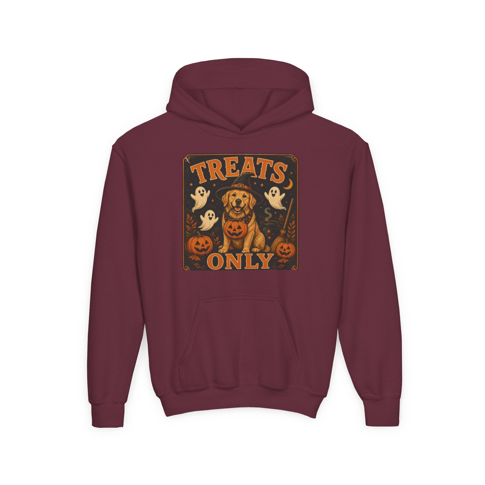Youth Halloween Hoodie - "Treats Only" Pumpkin Dog Graphic
