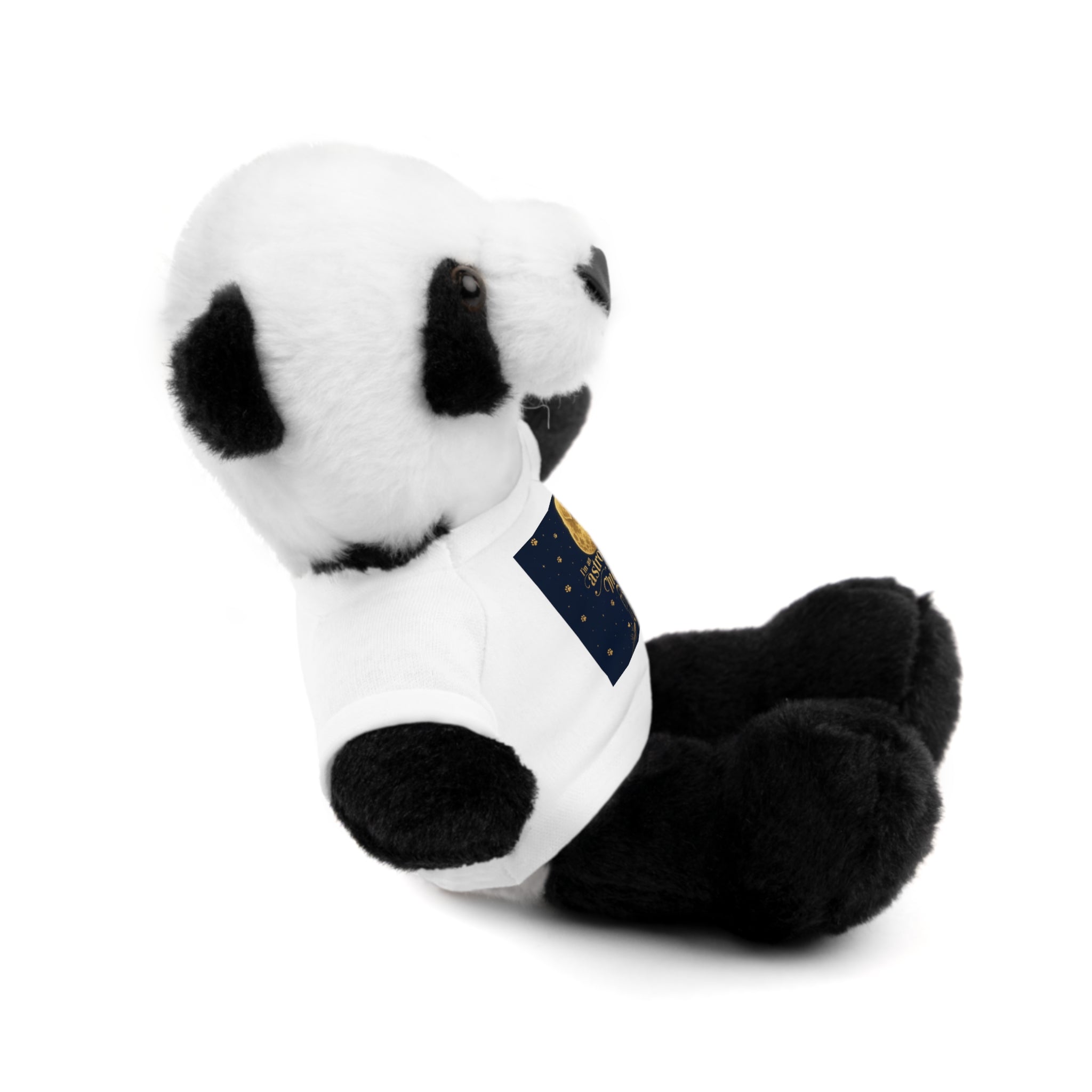 Teddy Bear — 'Instrumental Moon' Plush with Graphic Tee