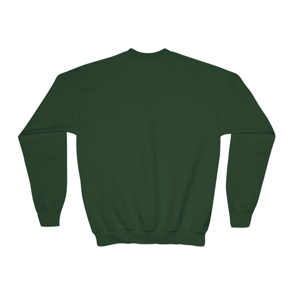 Youth Crewneck Sweatshirt - "Astronauts in the Moon" Cute Golden Bear & Moon Kids Pullover