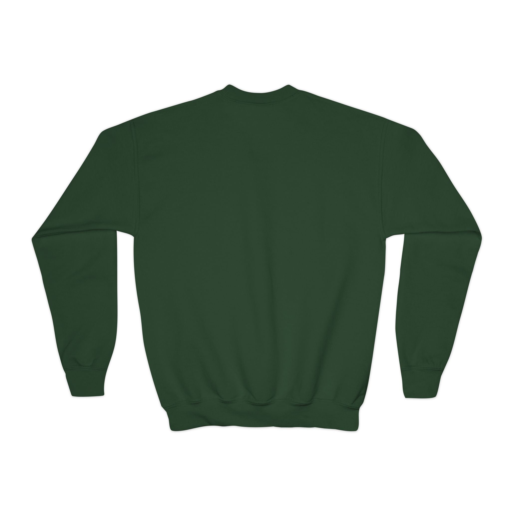 Youth Crewneck Sweatshirt - "Astronauts in the Moon" Cute Golden Bear & Moon Kids Pullover