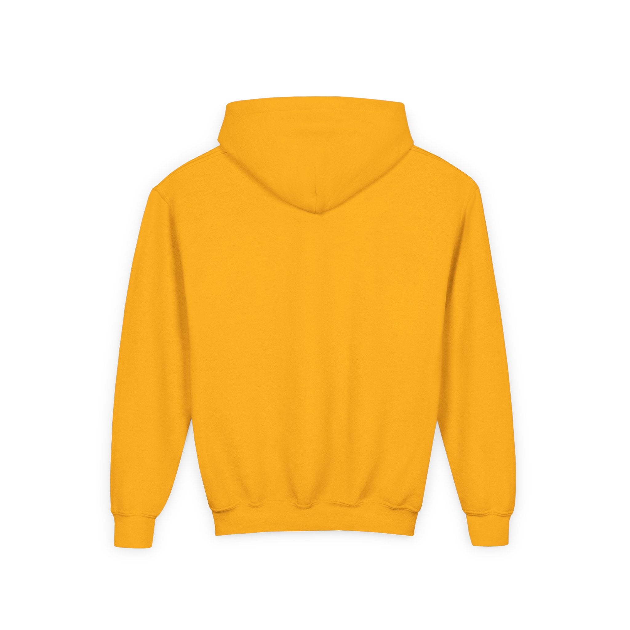 Youth Halloween Hoodie - "Treats Only" Pumpkin Dog Graphic